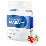 Заказать GEON Excellent Mass 5000 920 гр